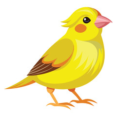 unique Canary bird isolated on white background