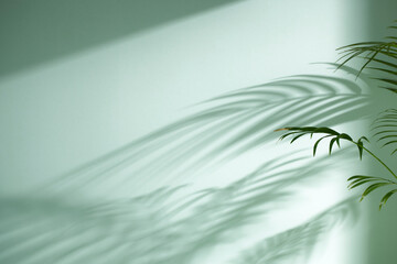 Morning Light and Natural Shadows in a Minimal Living Space.