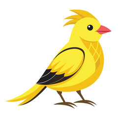 unique Canary bird isolated on white background