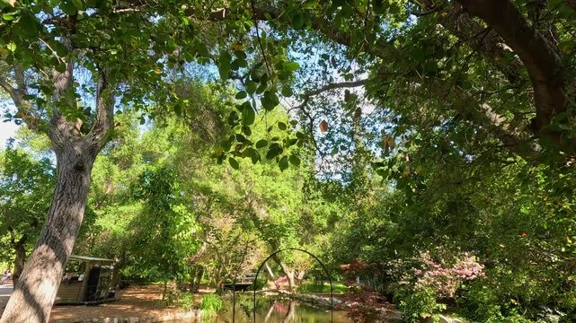 footage of pond with lush green trees and plants and colorful flowers at Descanso Gardens La Canada Flintridge California USA