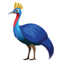 unique Cassowary bird isolated on white background
