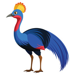 unique Cassowary bird isolated on white background