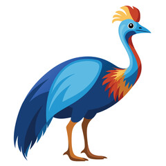 unique Cassowary bird isolated on white background