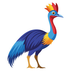 unique Cassowary bird isolated on white background