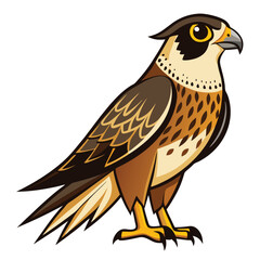 unique Falcon bird isolated on white background