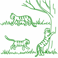 Tiger Animal Line Art Drawing for Kids – Simple Outline Vector Illustration for Educational Design