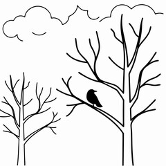 Crow Birds Line Art Drawing for Kids – Simple Outline Vector Illustration for Educational Design
