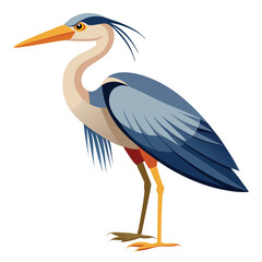 unique Heron bird isolated on white background