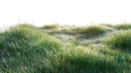 Fototapeta premium Early Morning Grassland with Dew and Realistic Light Transparent Background