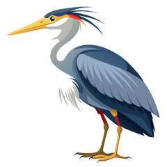 unique Heron bird isolated on white background