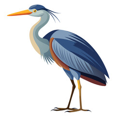 unique Heron bird isolated on white background
