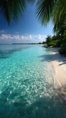 Fototapeta premium Tropical beach with turquoise water and palm trees..