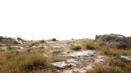 Grassland with Rocky Patches and Dry Ground Transparent Background
