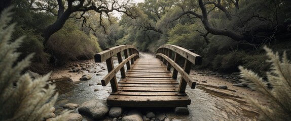 Fototapeta premium A rustic footbridge over a dry creek bed finds life in a gentle