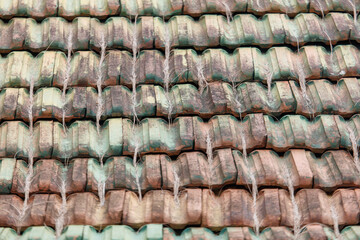 The roof is covered in green and brown tiles