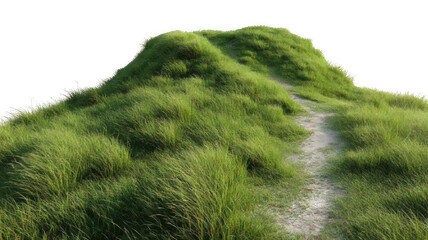 Photorealistic Grassy Hill with Small Pathway Transparent Background