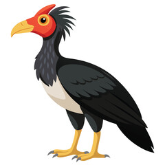 unique Megapode bird isolated on white background