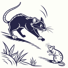  cat-chasing-rat