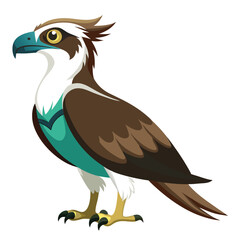 Fototapeta premium unique Ospreys bird isolated on white background
