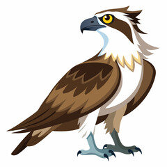 unique Ospreys bird isolated on white background
