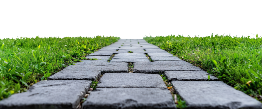 Stone pavement path through green grass, isolated on transparent cutout background