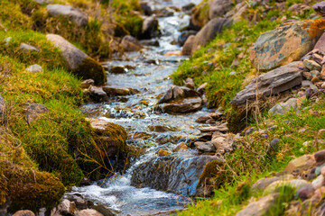 Clear stream flowing over mossy rocks.