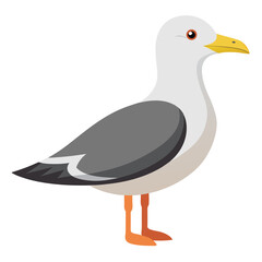 unique Seagull bird isolated on white background