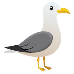unique Seagull bird isolated on white background