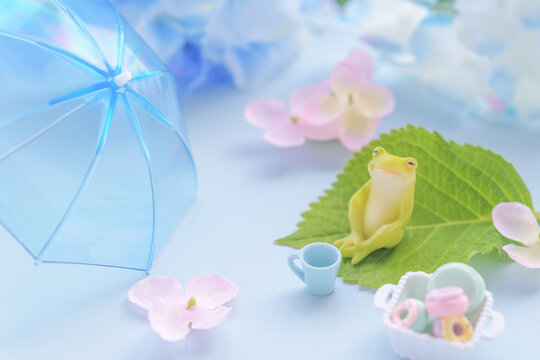 梅雨のイメージ｜傘とカエルとあじさいの花