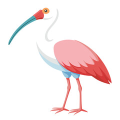 unique Spoonbill bird isolated on white background