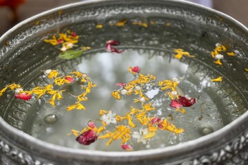 autumn leaves in a bowl