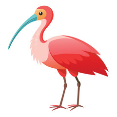 unique Spoonbill bird isolated on white background