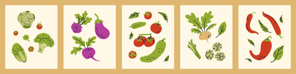 Vegetable poster bundle. Cauliflower, broccoli, Chinese cabbage and tomatoes. Kohlrabi, beets and eggplant. Tomatoes and cucumbers. Turnips, celery and spinach. Red peppers