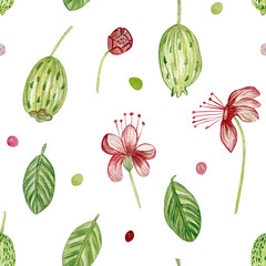 Watercolor seamless pattern with feijoa fruits, flowers, feijoa leaves. For printing on fabric, wallpaper, paper, curtains, prints, wrapping paper.