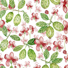 Watercolor seamless pattern with feijoa fruits, flowers, feijoa leaves. For printing on fabric, wallpaper, paper, curtains, prints, wrapping paper.