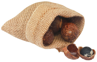Sapindus mukorossi or Indian soapberry