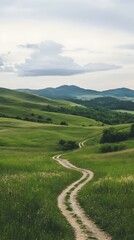 Fototapeta premium Winding dirt road through lush green hills under a cloudy sky.