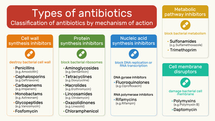 Types of antibiotics. Cell wall synthesis, protein synthesis, nucleic acid synthesis, metabolic pathway, cell membrane disruptors