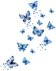 Colorful flying butterflies PNG transparent illustration
