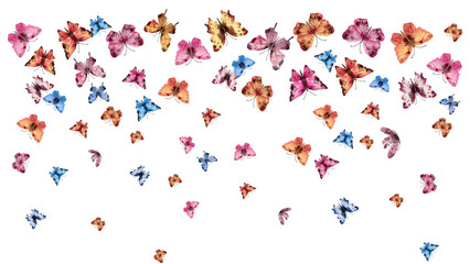 Colorful flying butterflies PNG transparent illustration