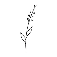 Isolated green leaf and white floral twig on a macro spring stem