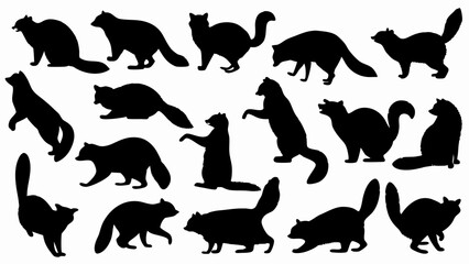 set of raccoon silhouette vector on white background