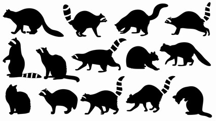 set of raccoon silhouette vector on white background