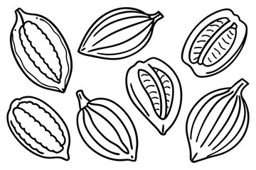 Acocoa pods line art clean monochrome ink render