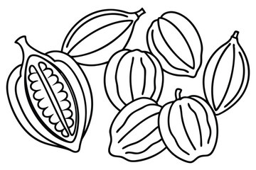 cocoa pods line art rustic cacao bean concept