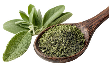 Fresh sage leaves and ground sage in a wooden spoon on a clean background