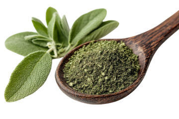 Fresh sage leaves and ground sage in a wooden spoon on a clean background