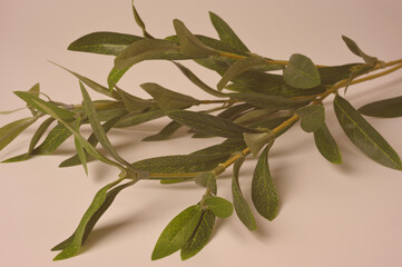 作り物の葉っぱ03