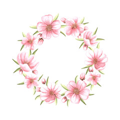 Fototapeta premium Pink flowers of almond with leaves and buds watercolor wreath. Hand drawn round frame from sakura, apples or cherry blossom. Floral isolated illustration with copy space. Spring blooming of fruit tree