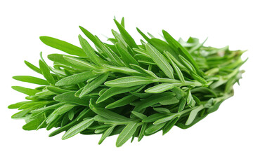 Fresh tarragon herb bundle ready for culinary use in home kitchen